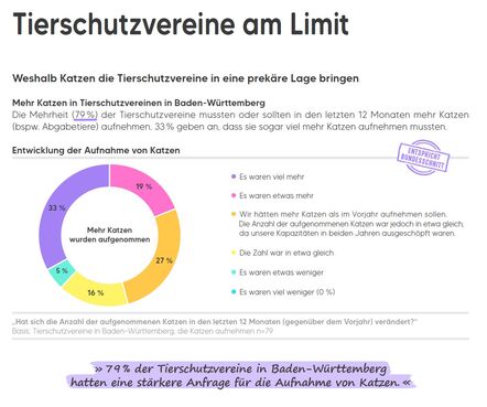 Wie viele Straßenkatzen gibt es in Baden-Württemberg? (Auszug)